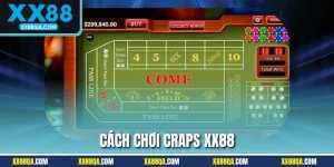 Cách Chơi Craps Và Mẹo Chơi Hiệu Quả Từ Cao Thủ XX88